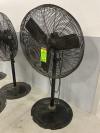Dayton EWB5A 30" Shop Fan